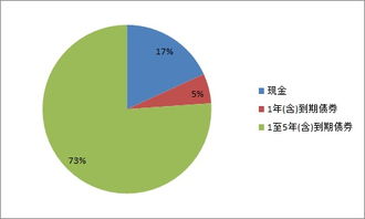 上海市分行投资管理 策略、实践与未来展望