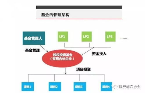 一文读懂股权投资 募投管退 全流程